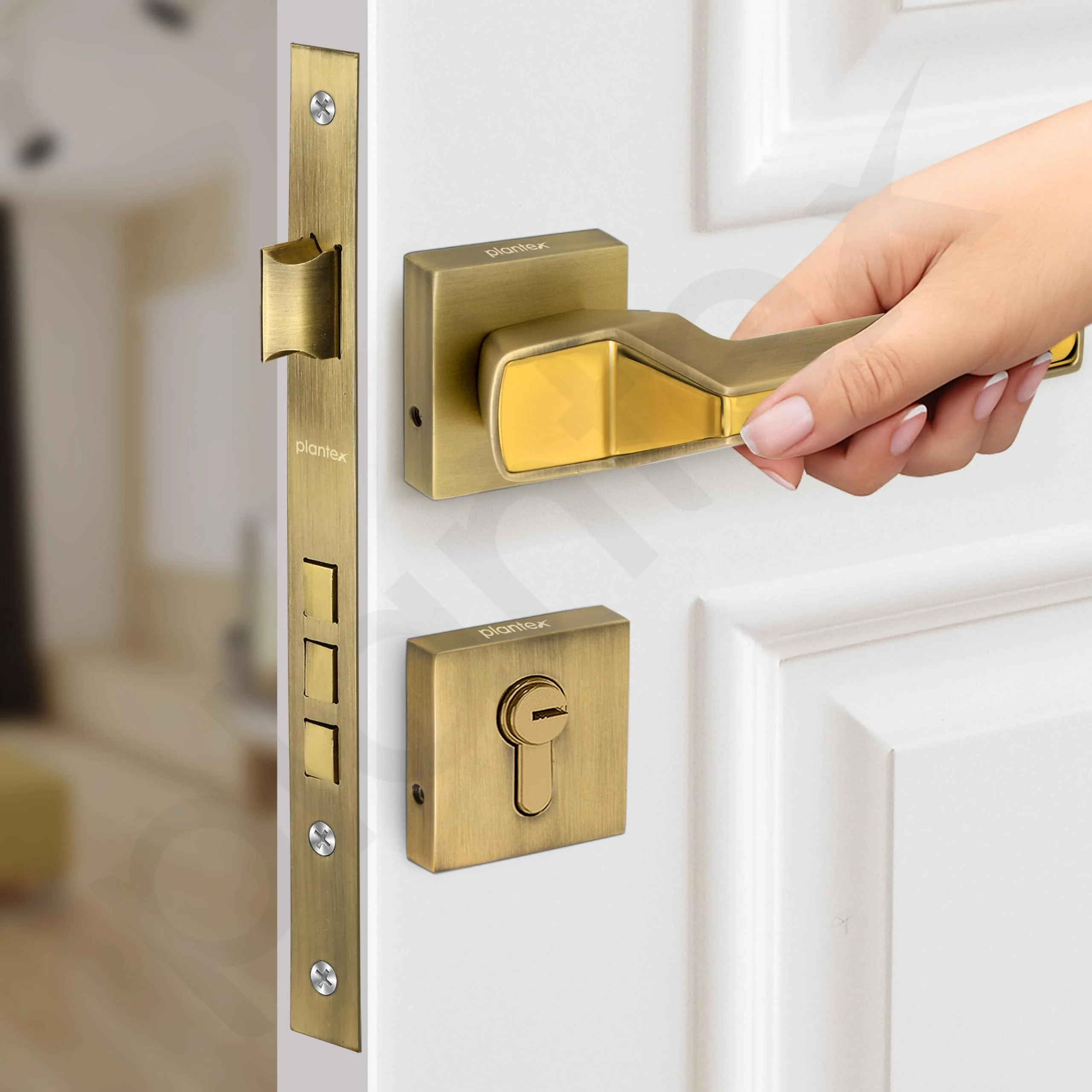 Plantex Mortise Door Lock for Main Door/Premium Handle Lock Set for Home with 3 Years Warranty by Plantex (Brass Antique & Gold) - Image 7